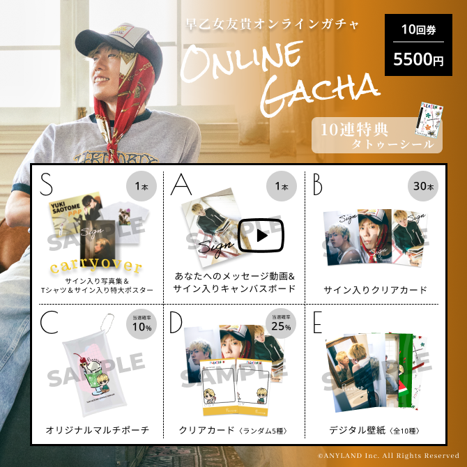 SAMPLE IMAGE