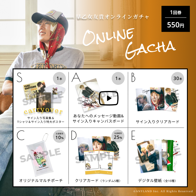 SAMPLE IMAGE